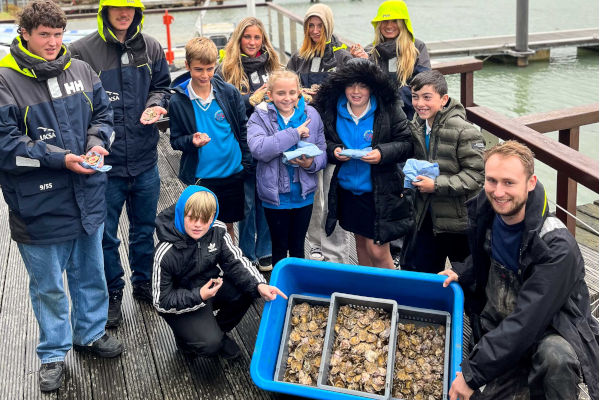 oysters_being_reintroduced